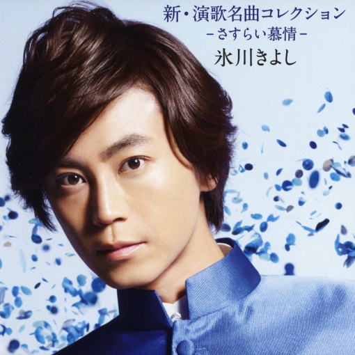 新・演歌名曲コレクション -さすらい慕情-