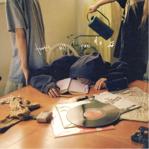 that’s all i can do