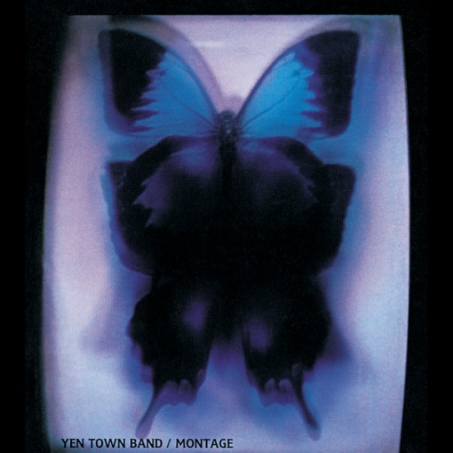 Swallowtail Butterfly~あいのうた~(Remastered 2015)