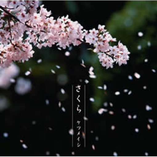 さくら
