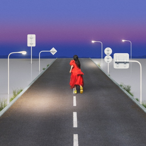 ビーナスベルト