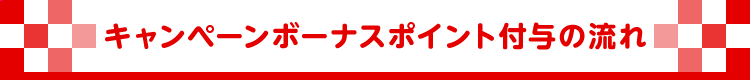 キャンペーンボーナスポイント付与の流れ