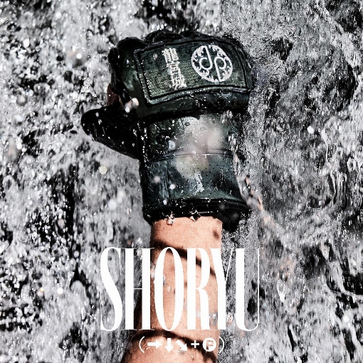 SHORYU (→↓・＋P)